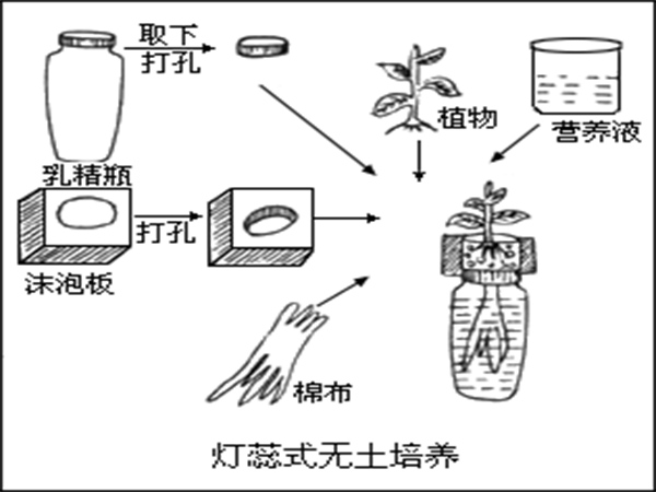 無土栽培營(yíng)養(yǎng)液